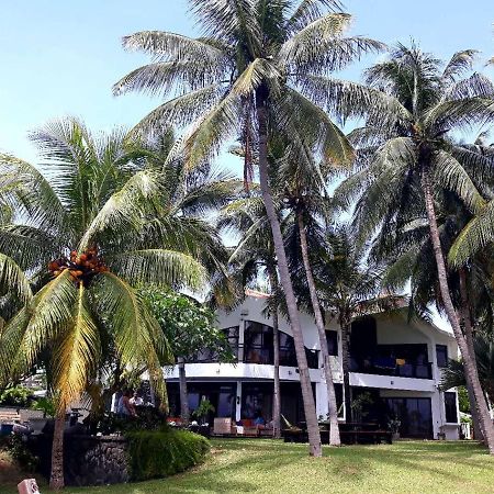 La Maison De La Plage - Guest House Albion Ngoại thất bức ảnh