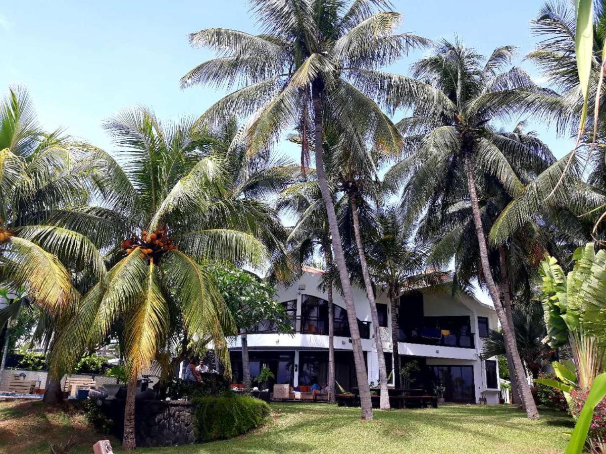 La Maison De La Plage - Guest House Albion Ngoại thất bức ảnh