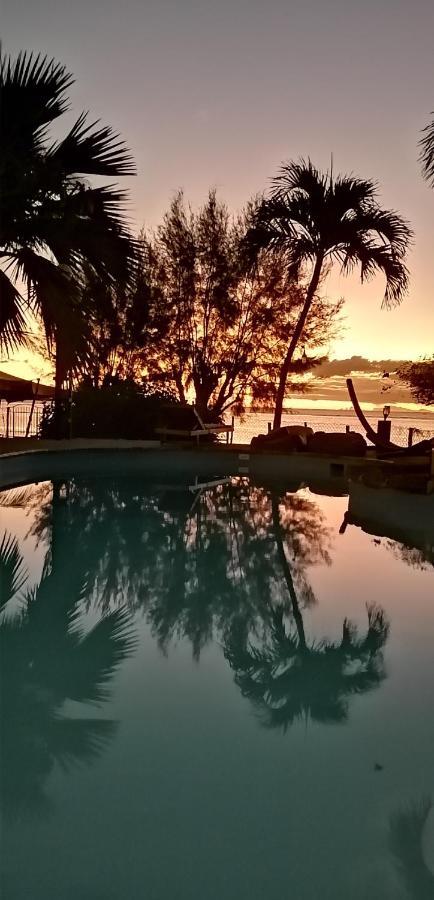 La Maison De La Plage - Guest House Albion Ngoại thất bức ảnh