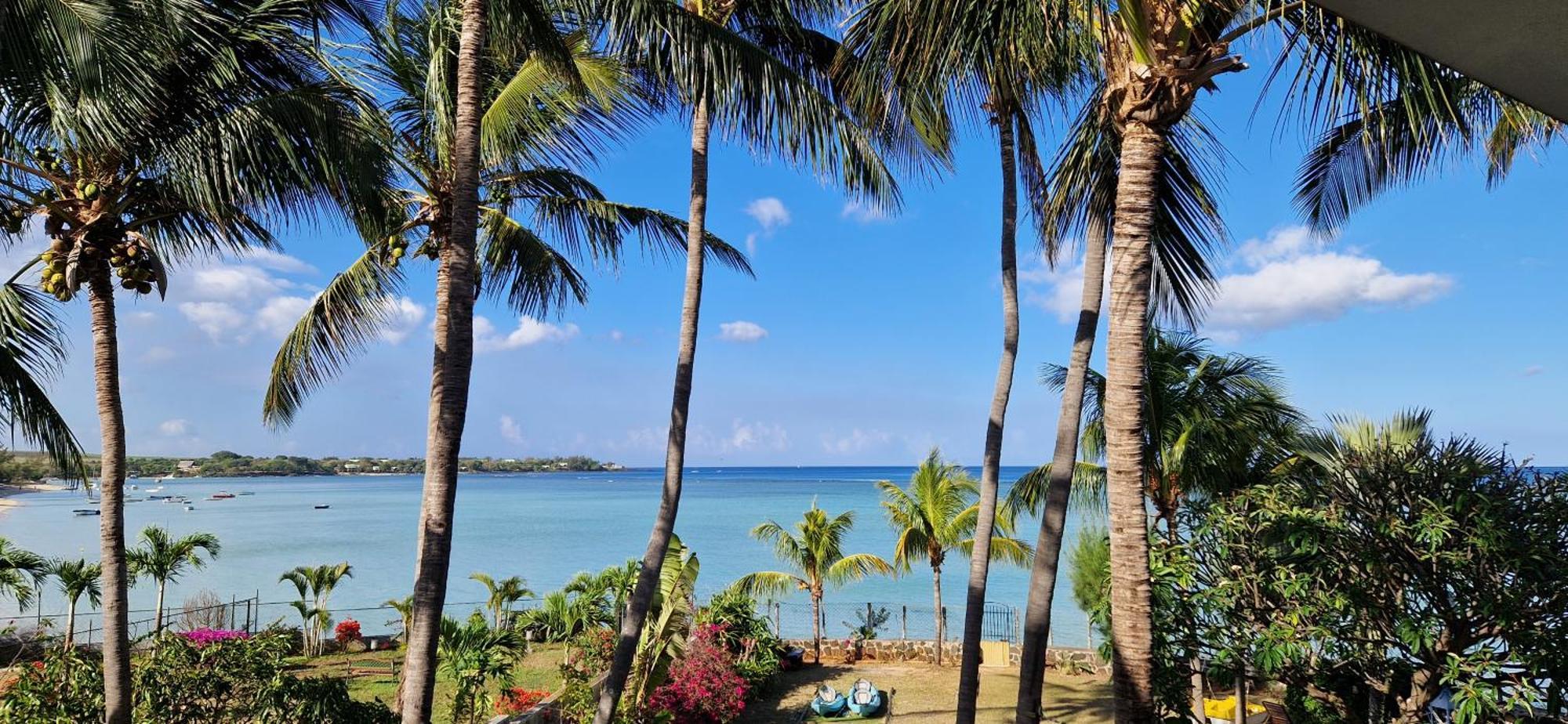 La Maison De La Plage - Guest House Albion Ngoại thất bức ảnh